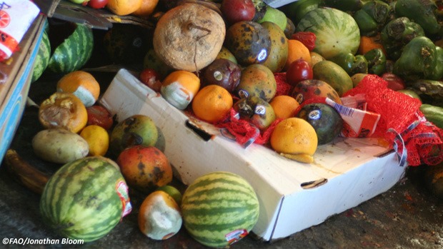 Food waste & loss – the blind spot in the fight against hunger