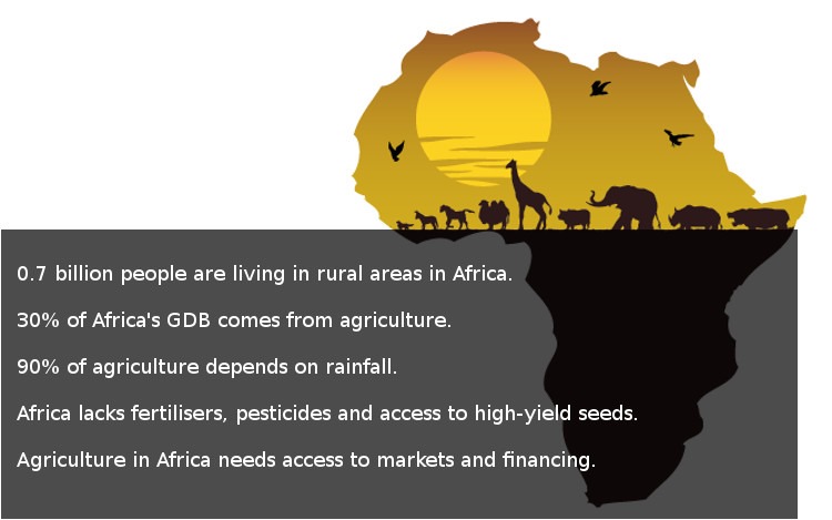 Agriculture in Africa: Potential versus reality